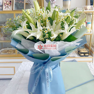 蚌埠8支白色多头百合洋甘菊，互倾的思念