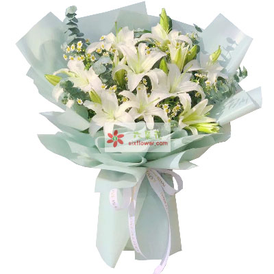 蚌埠6支白色多头百合，温馨的祝福