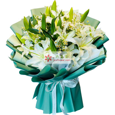 蚌埠8支白色多头百合洋甘菊，如潮的思念