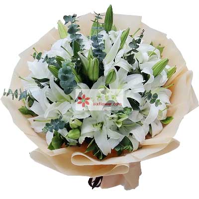蚌埠9支白色多头百合，祝福你幸福